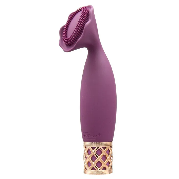 BMS Enterprises Female Sex Toys Pillow Talk Secrets Passion Mini Massager