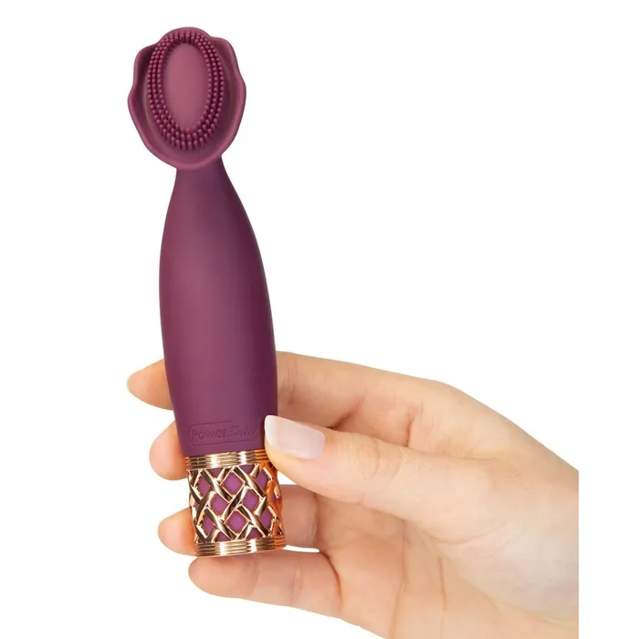 BMS Enterprises Female Sex Toys | Pillow Talk Secrets Passion Mini Massager BMS Enterprises Female Sex Toys | Pillow Talk Secrets Passion Mini Massager